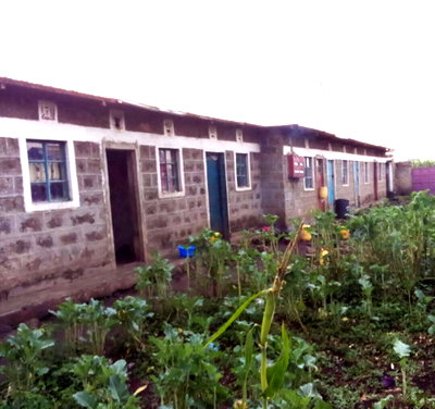 Quarter Acre Commercial Plot with Garden