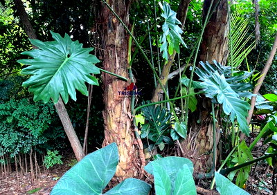 1 Acre Westlands Plot for KSh 450M