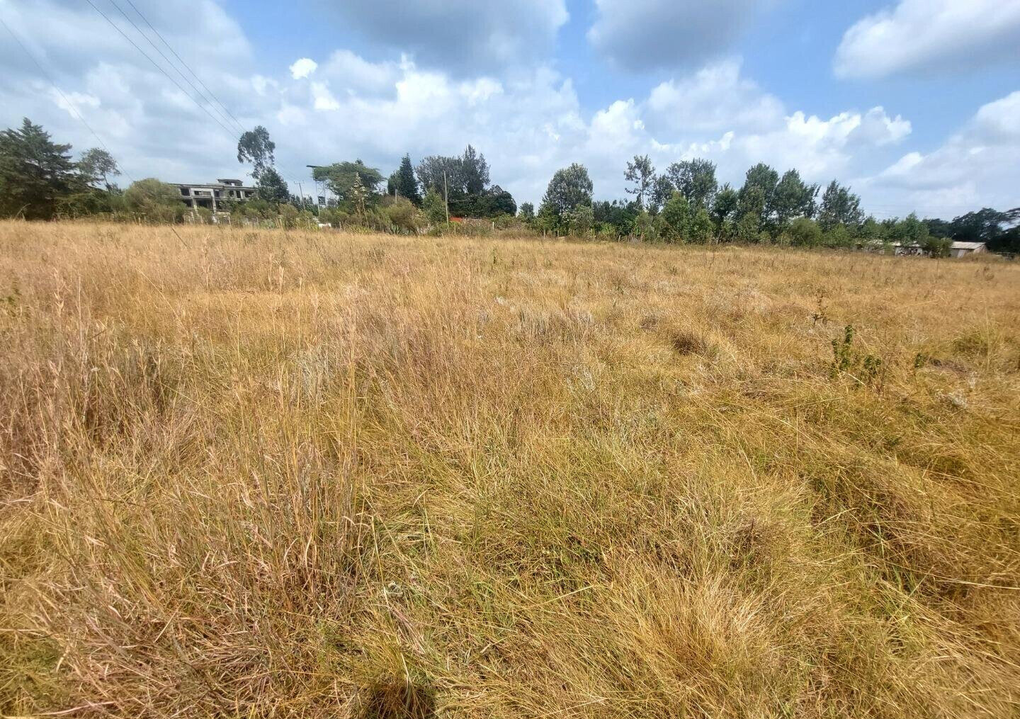 Garden Oasis on 0.44 Acre