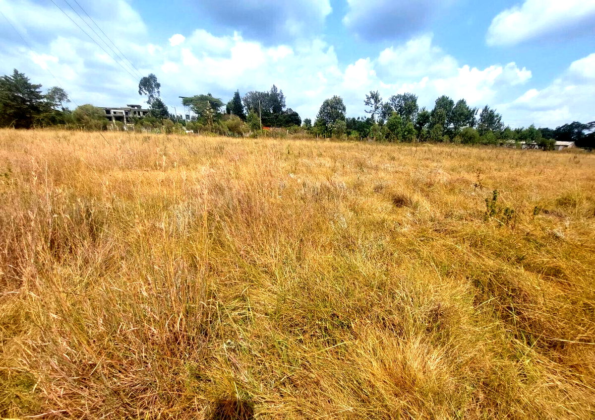 Garden Oasis on 0.44 Acre