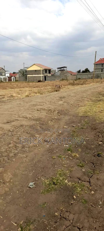 40*80 Plots on Sale at Ndatani Airways - Image 2