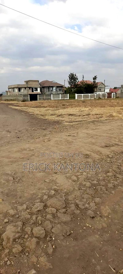40*80 Plots on Sale at Ndatani Airways - Image 6