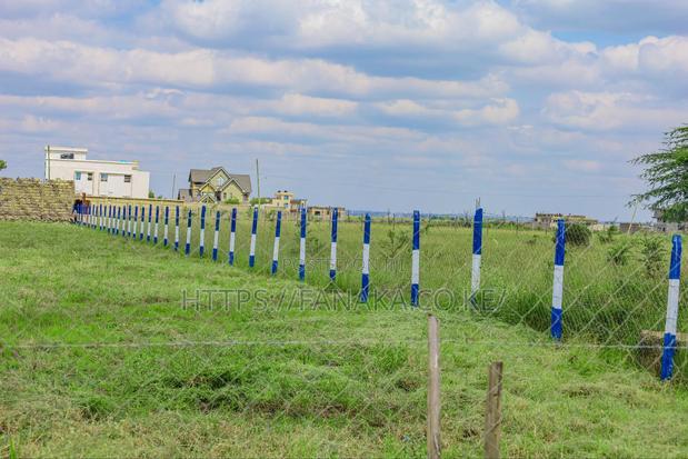 Avenue Court Phase 2