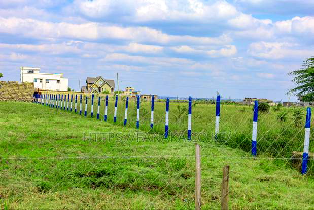 Avenue Court Phase 2