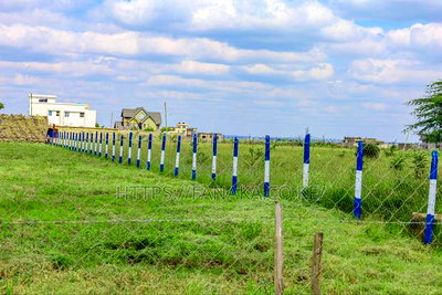 Avenue Court Phase 2 - Image 2