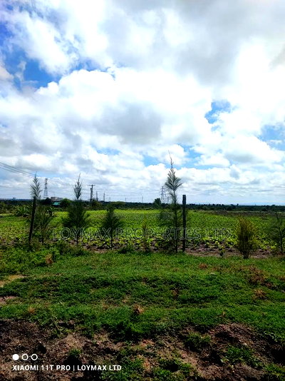 18 Acres on Sale Near Naisula School Kajiado. - Image 3