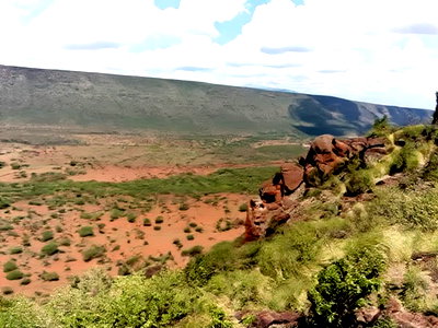 Scenic 113 Acres Olmeroi(Saikeri)