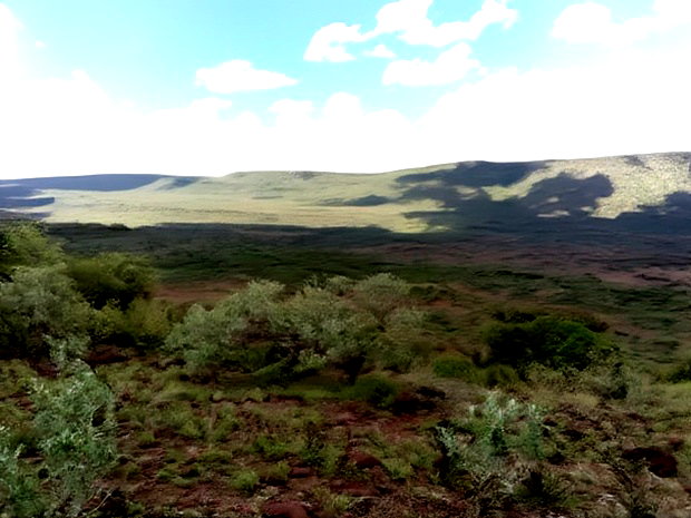 Scenic 113 Acres Olmeroi(Saikeri)