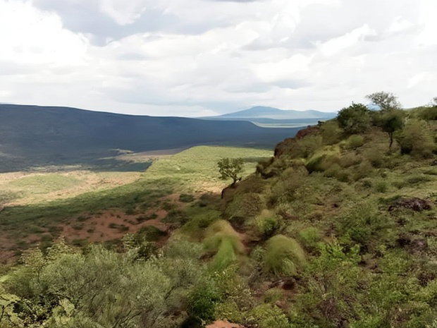 Scenic 113 Acres Olmeroi(Saikeri)