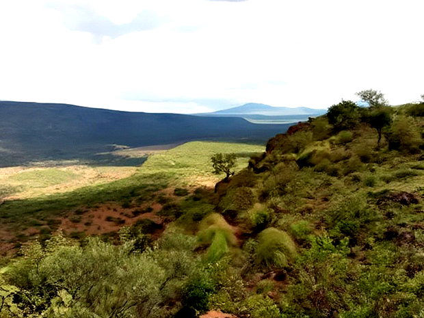 Scenic 113 Acres Olmeroi(Saikeri)