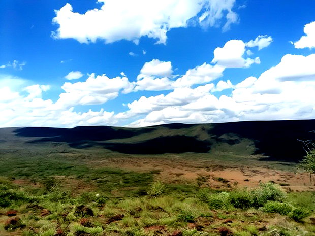 Scenic 113 Acres Olmeroi(Saikeri)