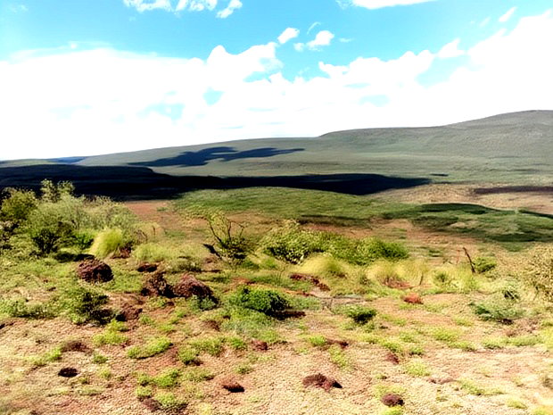 Scenic 113 Acres Olmeroi(Saikeri)