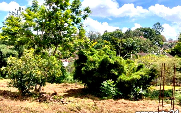 9-Acre Kitisuru Land at KSh 150M