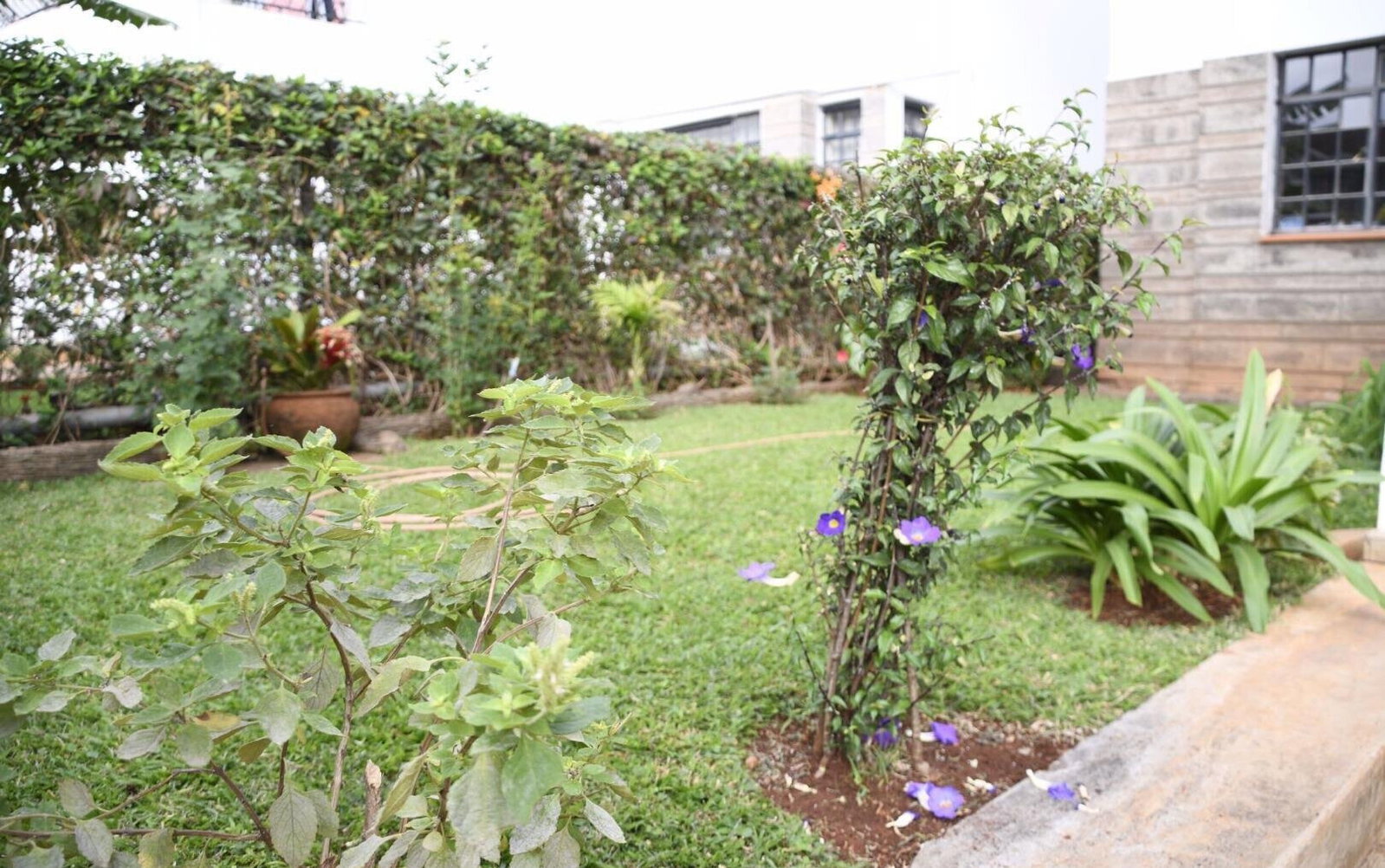 4-Ensuite Townhouse with Pool & Gym in Grevillea Grove - Westlands