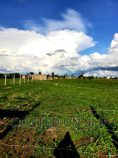 Joska Plots. ^ Em - Image 1