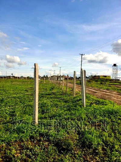 Joska Plots. ^ Em - Image 2