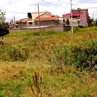 50 by 100 Plot in Thika,Ngoigwa Touching Tarmac - Image 3