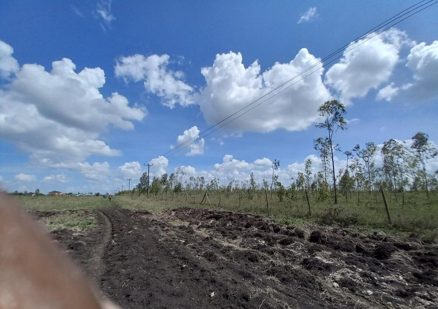 85-Acre Land with 3 Title Deeds - Kisaju