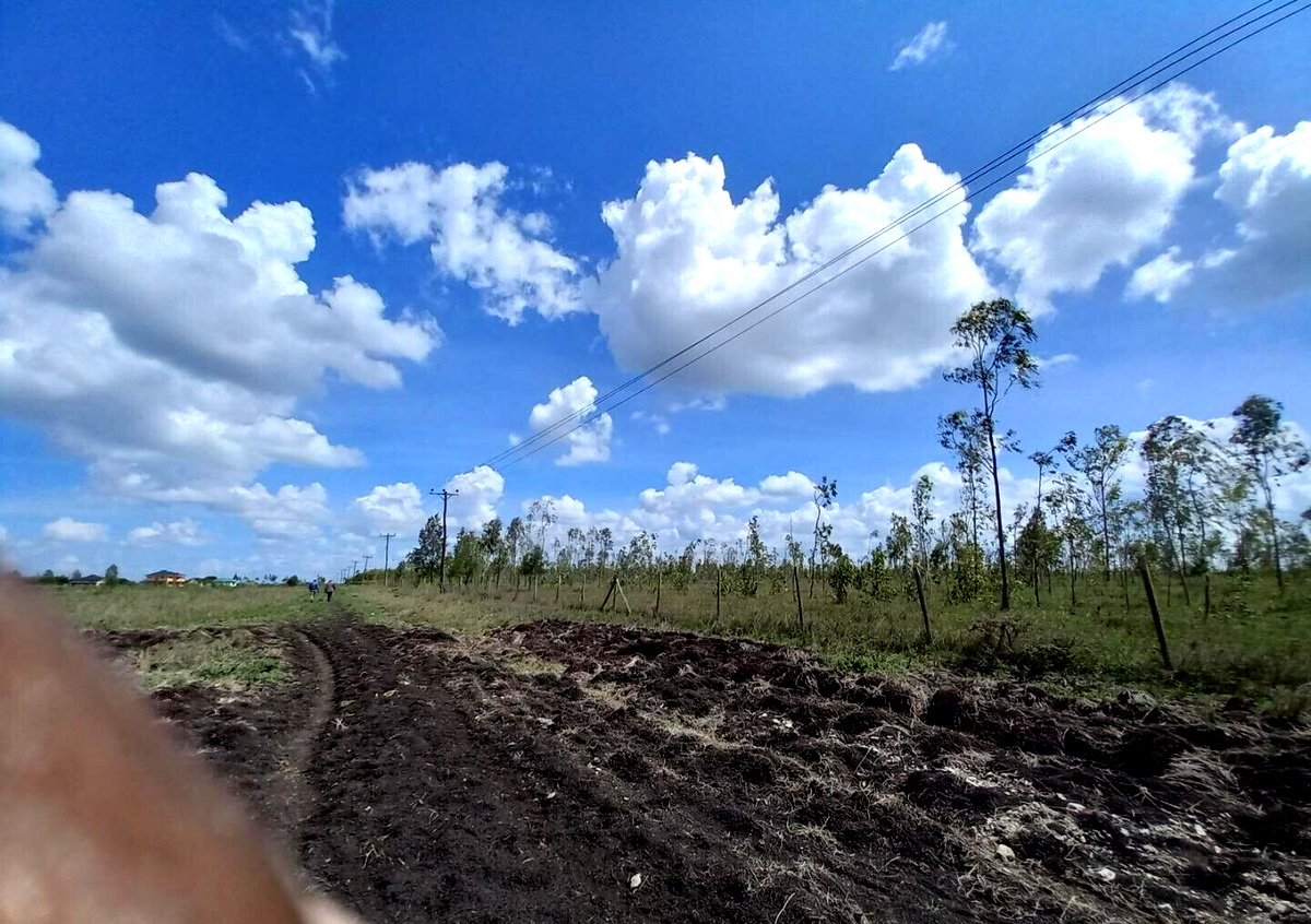 85-Acre Land with 3 Title Deeds - Kisaju