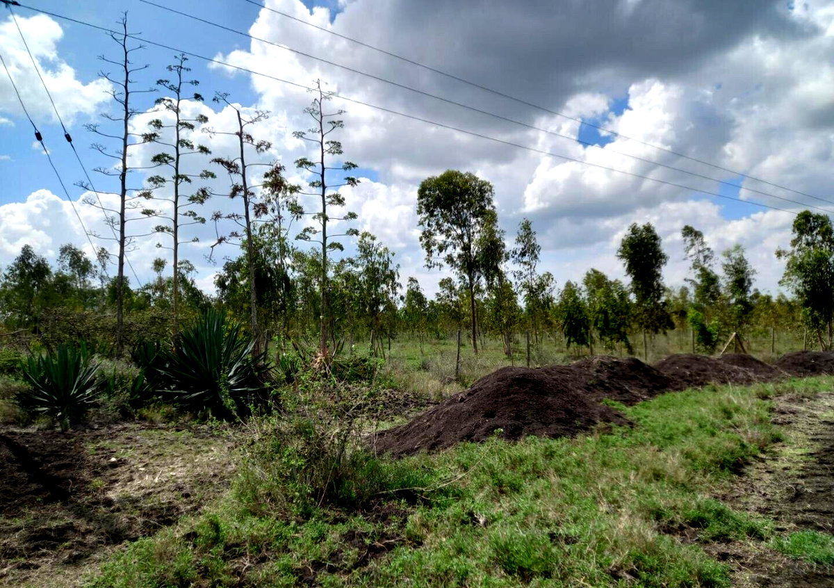 85-Acre Land with 3 Title Deeds - Kisaju
