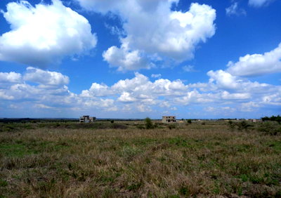 85-Acre Land with 3 Title Deeds - Kisaju