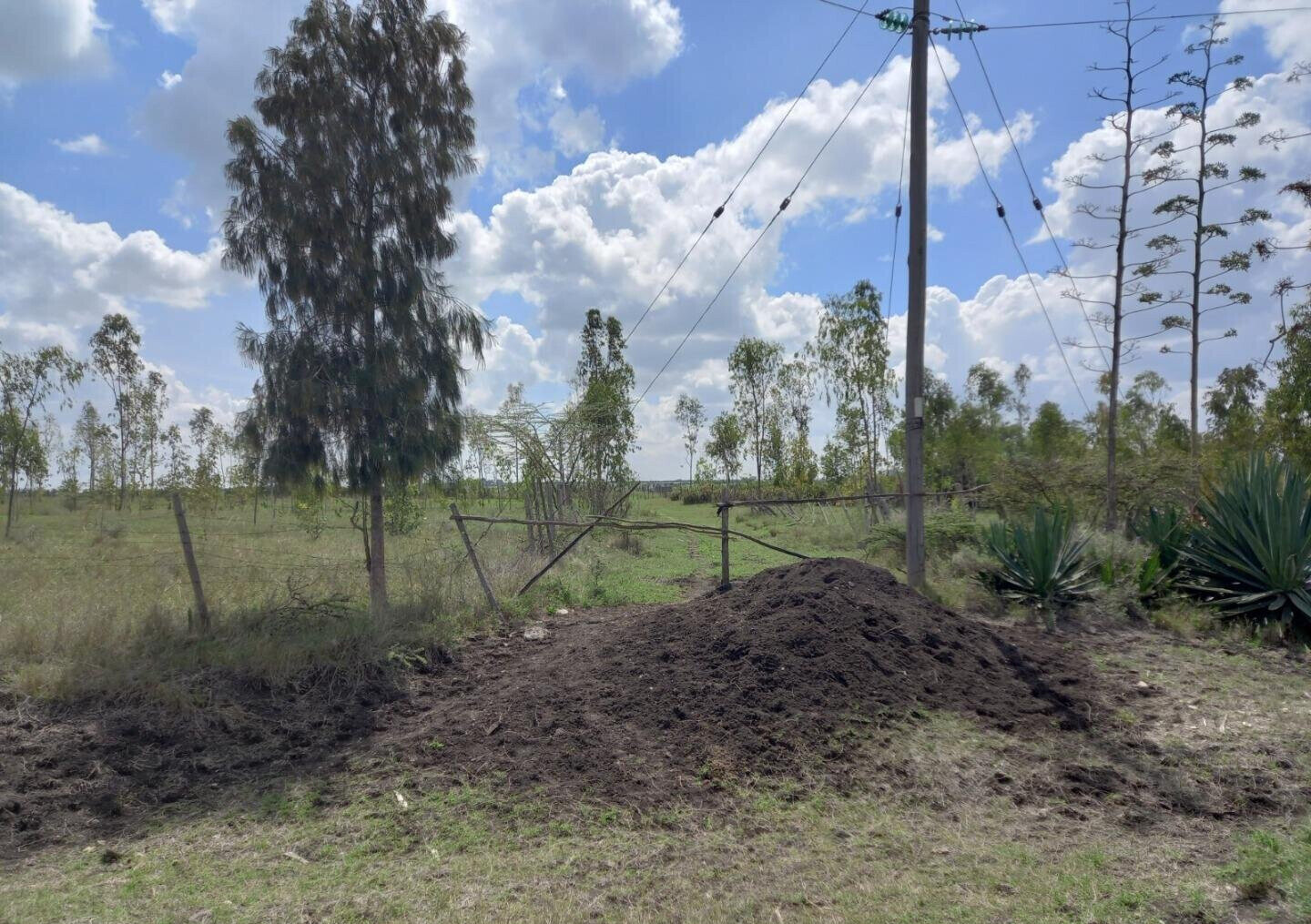 85-Acre Land with 3 Title Deeds - Kisaju
