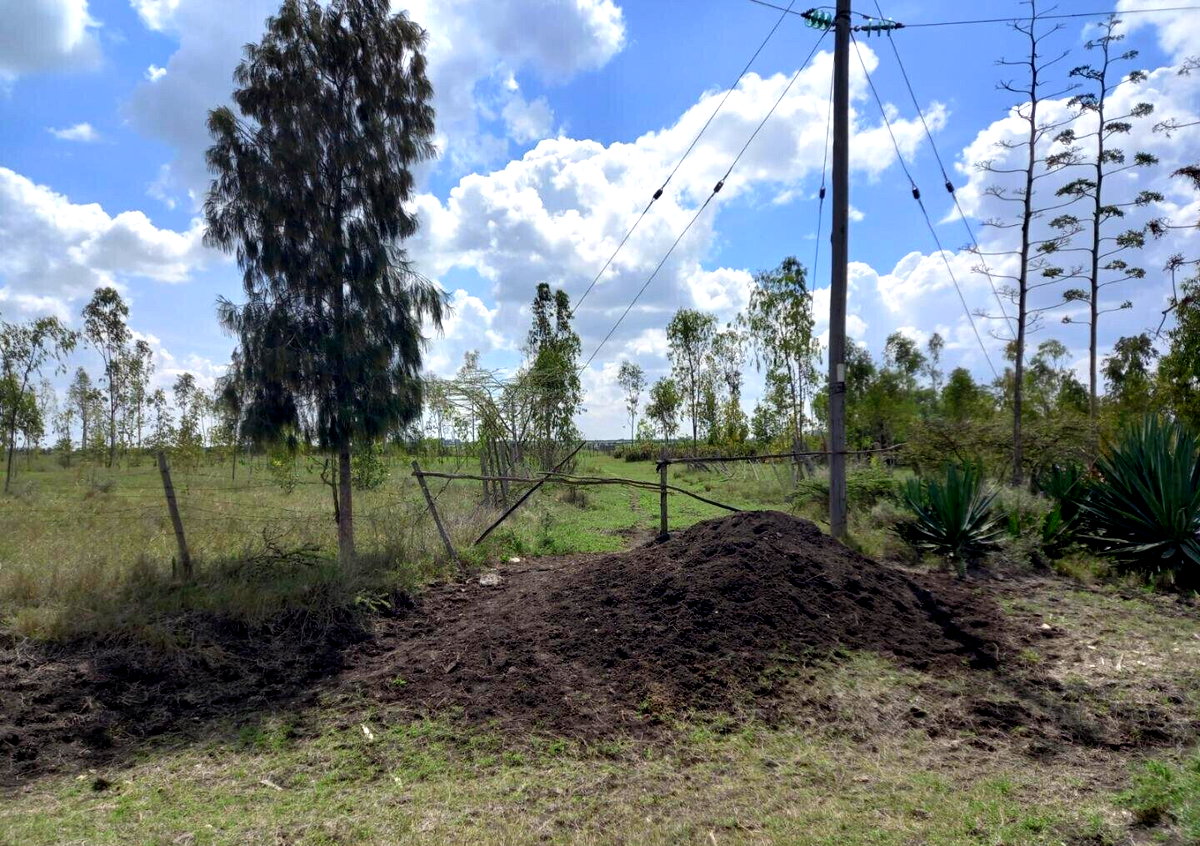 85-Acre Land with 3 Title Deeds - Kisaju