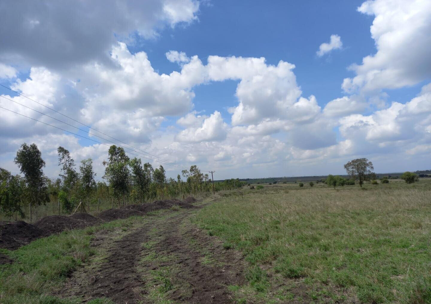 85-Acre Land with 3 Title Deeds - Kisaju