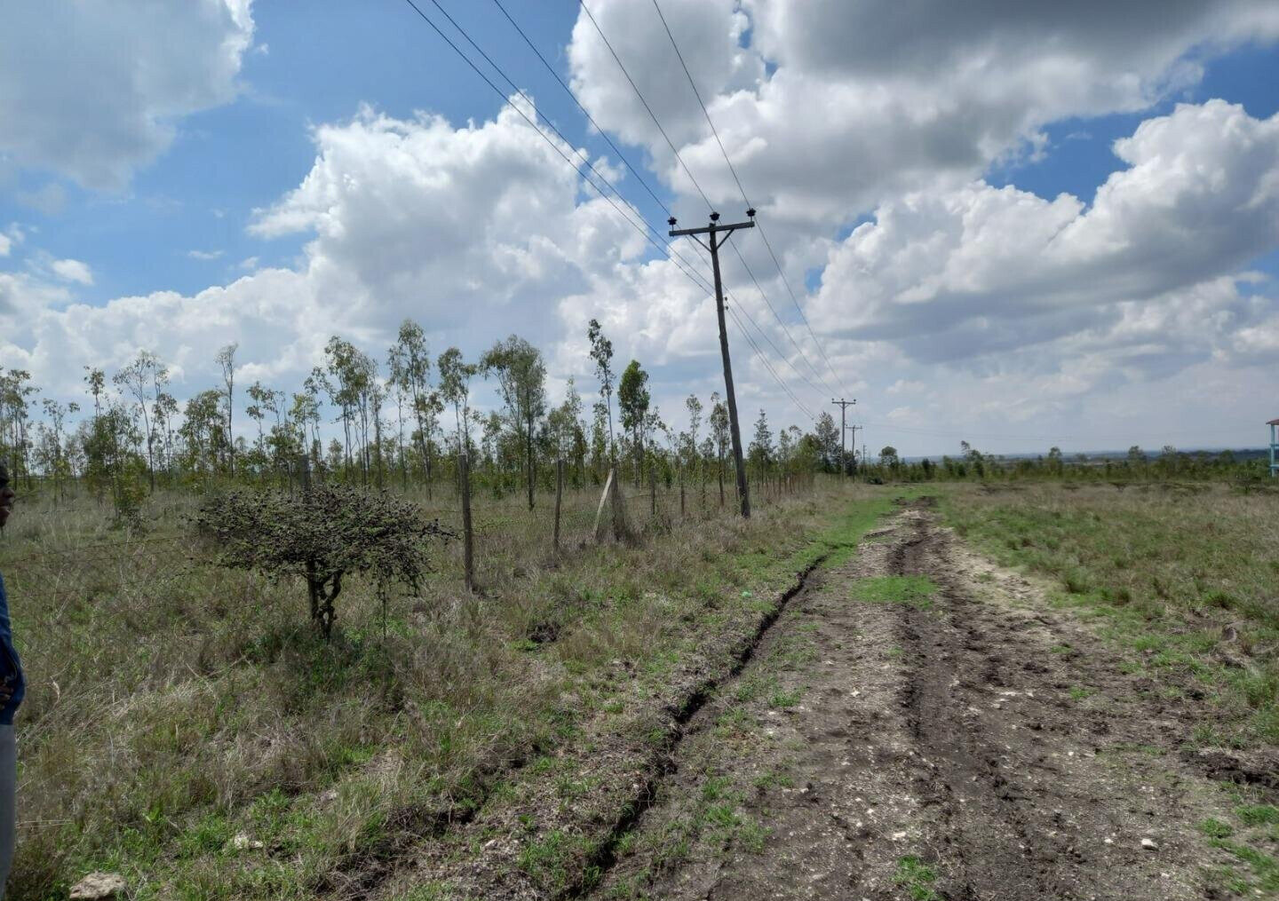 85-Acre Land with 3 Title Deeds - Kisaju