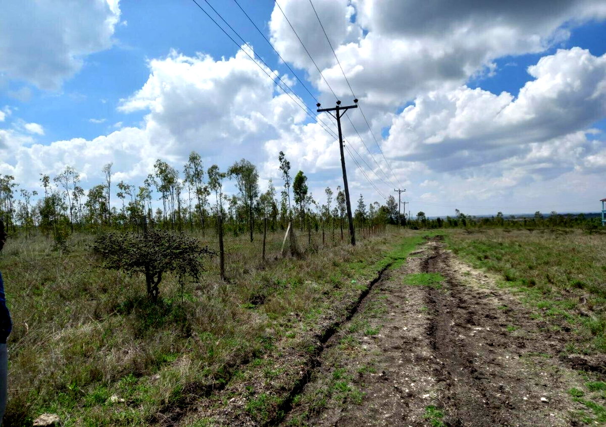 85-Acre Land with 3 Title Deeds - Kisaju