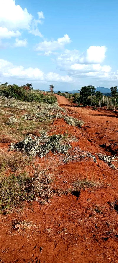 Ngong Plots for Sale 100 Metres Off Tarmac - Image 4