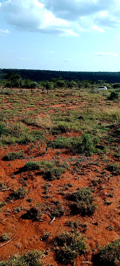 Ngong Plots for Sale 100 Metres Off Tarmac - Image 2