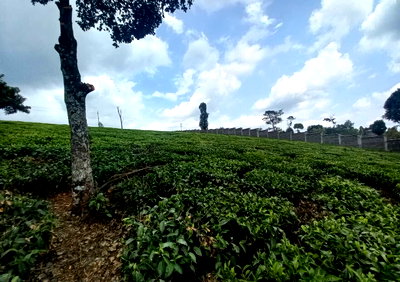 9.5 Acres in Githunguri at KSh 13.5M