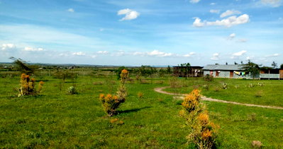 Garden Land with Parking - KSh 49M