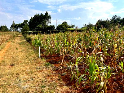 Residential Plot in Kikuyu, Kamangu Karai (Migumoini Area) - Image 15