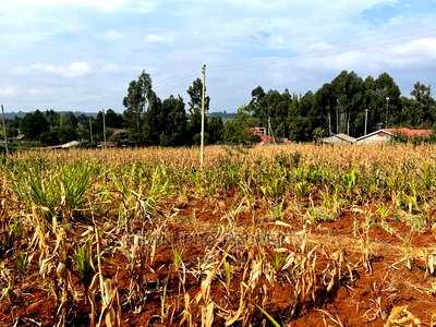 Residential Plot in Kikuyu, Kamangu Karai (Migumoini Area) - Image 16