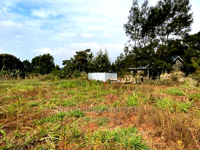Residential Plot in Kikuyu, Kamangu Karai (Migumoini Area) - Image 5