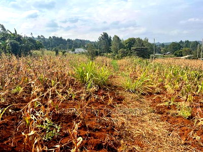 Residential Plot in Kikuyu, Kamangu Karai (Migumoini Area) - Image 3