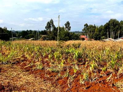 Residential Plot in Kikuyu, Kamangu Karai (Migumoini Area) - Image 13