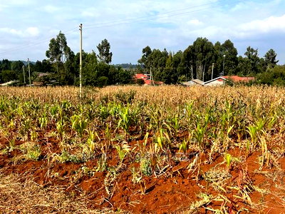 Residential Plot in Kikuyu, Kamangu Karai (Migumoini Area) - Image 14