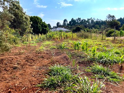 Residential Plot in Kikuyu, Kamangu Karai (Migumoini Area) - Image 7