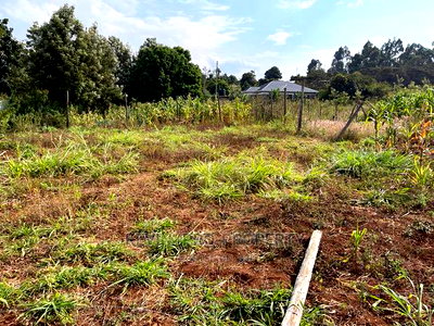 Residential Plot in Kikuyu, Kamangu Karai (Migumoini Area) - Image 8