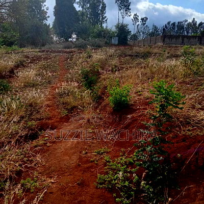 40*80ft Plots for Sale at Kenol Along Kagia Road in Muranga - Image 4