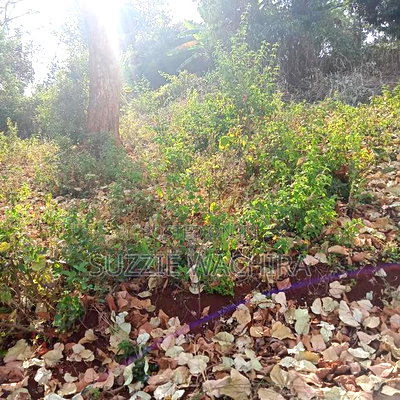 40*80ft Plots for Sale at Kenol Along Kagia Road in Muranga - Image 2