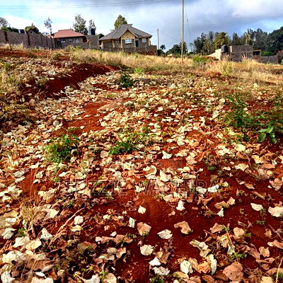 40*80ft Plots for Sale at Kenol Along Kagia Road in Muranga - Image 1