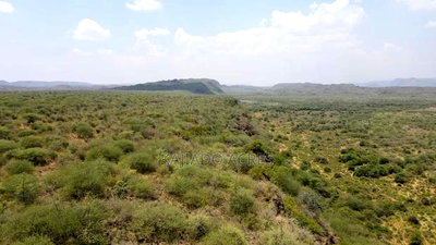 50 Acres on Cliff in Tinga at Per Acre - Image 5