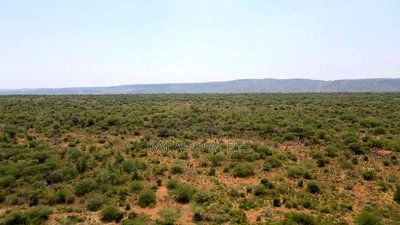 50 Acres on Cliff in Tinga at Per Acre - Image 7