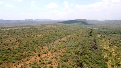 50 Acres on Cliff in Tinga at Per Acre - Image 9