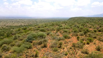 50 Acres on Cliff in Tinga at Per Acre - Image 4