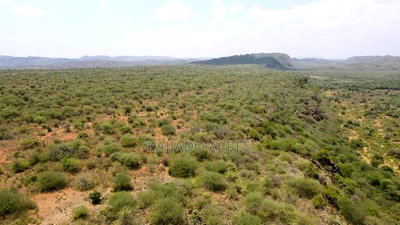 50 Acres on Cliff in Tinga at Per Acre - Image 10